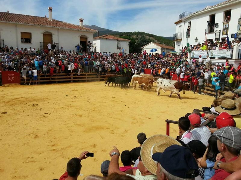 Festa de San Juan y San Pedro